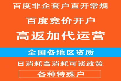 竞价SEM助力电商平台快速提升流量
